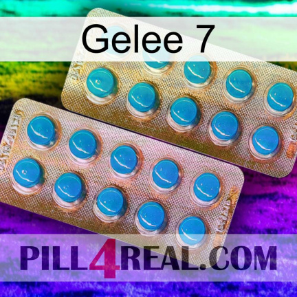 Jelly 7 new08